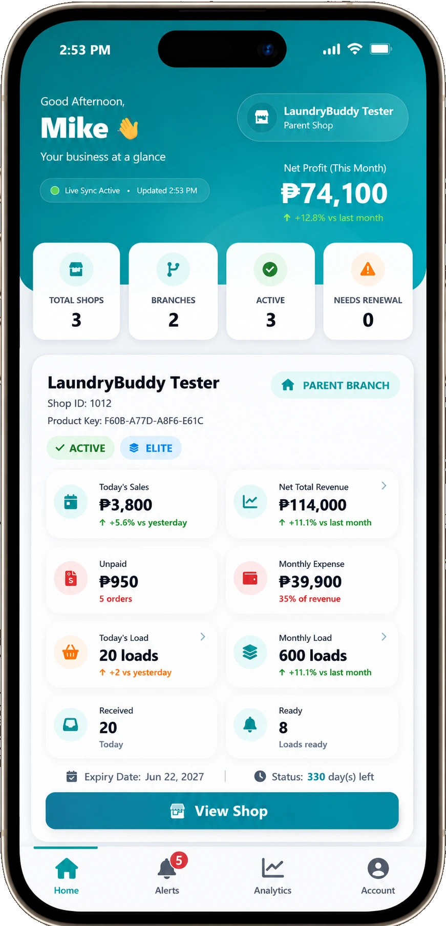 Laundry Buddy owner portal showing net profit, shops, branches, sales, unpaid balances, expenses, laundry loads, and status counts